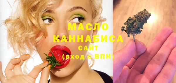 индика Нязепетровск
