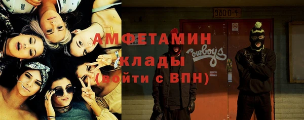 индика Нязепетровск