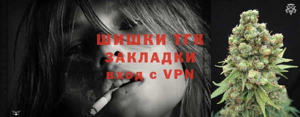 индика Нязепетровск