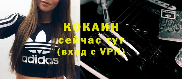 индика Нязепетровск