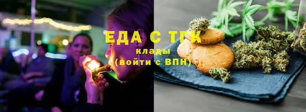 индика Нязепетровск