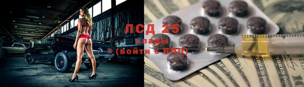 индика Нязепетровск