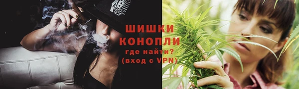apvp Няндома