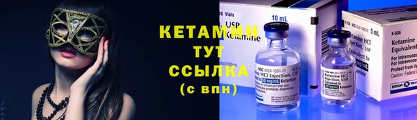 индика Нязепетровск