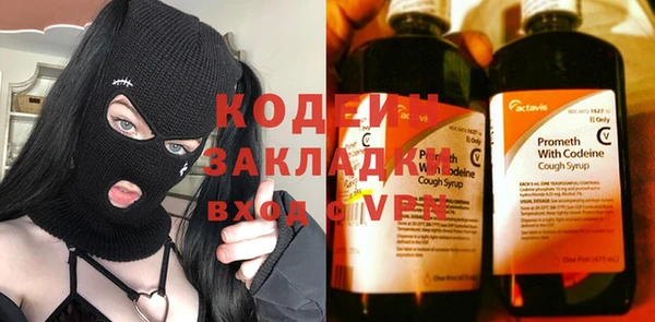 индика Нязепетровск