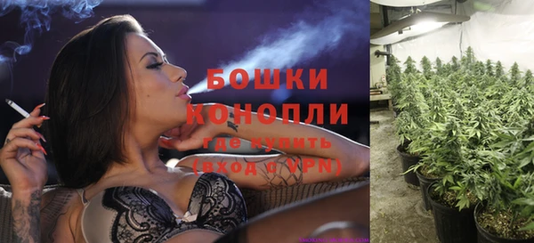 индика Нязепетровск