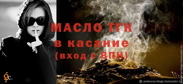 индика Нязепетровск